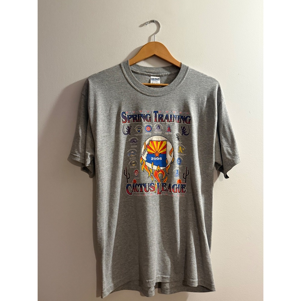 Vintage 2005 MLB Spring Training Cactus League Arizona T-Shirt Gray Mens L Y2K